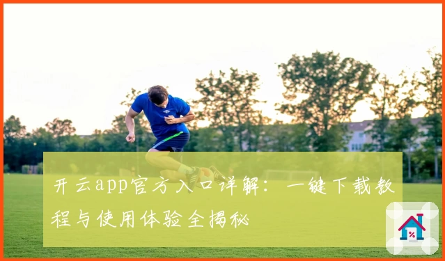 开云app官方入口详解：一键下载教程与使用体验全揭秘