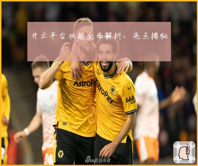 开云平台功能全面解析，亮点揭秘