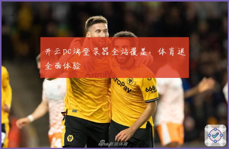 开云pc端登录器全站覆盖，体育迷全面体验