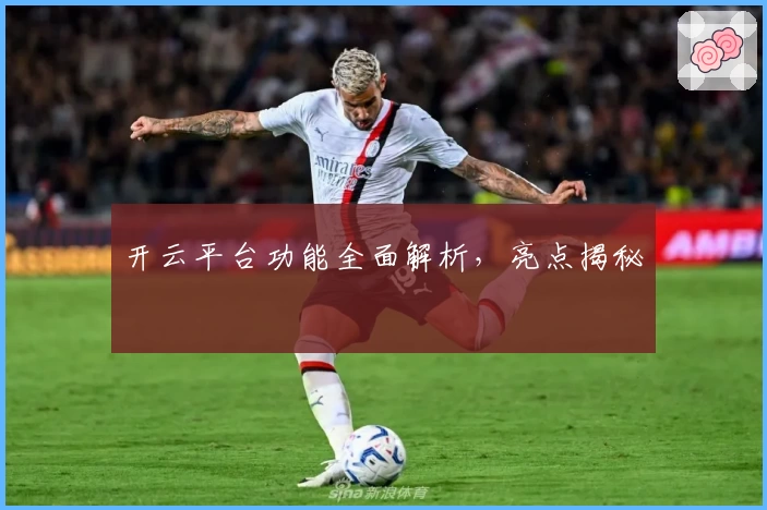 开云平台功能全面解析，亮点揭秘